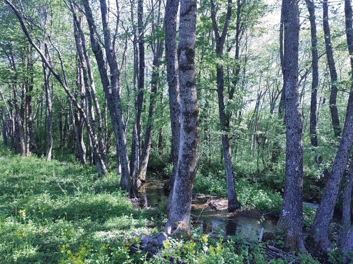 Velebit Lodge Lovinac  エクステリア 写真